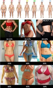 bodyfat chart